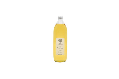 Nectar de mangue Bio (1L)